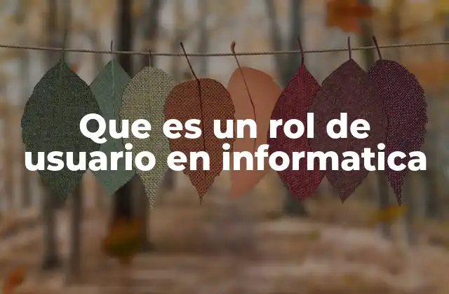Que es un Rol de Usuario en Informatica