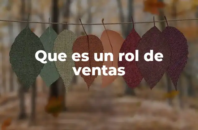 Que es un Rol de Ventas