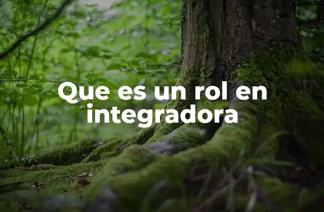Que es un Rol en Integradora