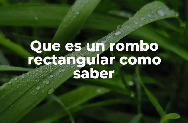 Que es un Rombo Rectangular como Saber