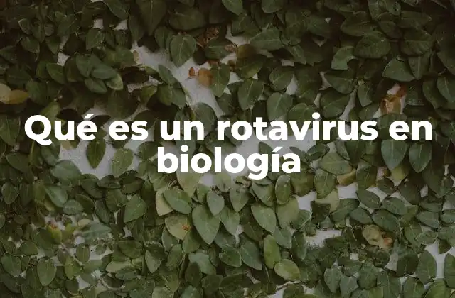 Qué es un Rotavirus en Biología