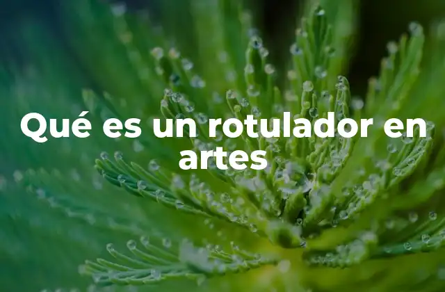 Qué es un Rotulador en Artes