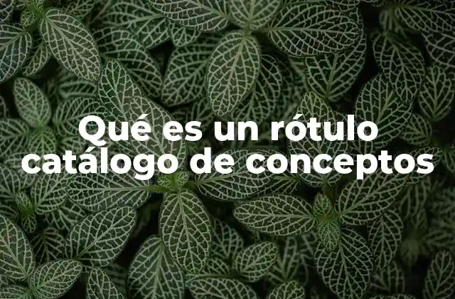 Qué es un Rótulo Catálogo de Conceptos