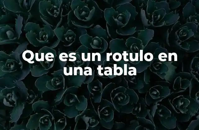 Que es un Rotulo en una Tabla