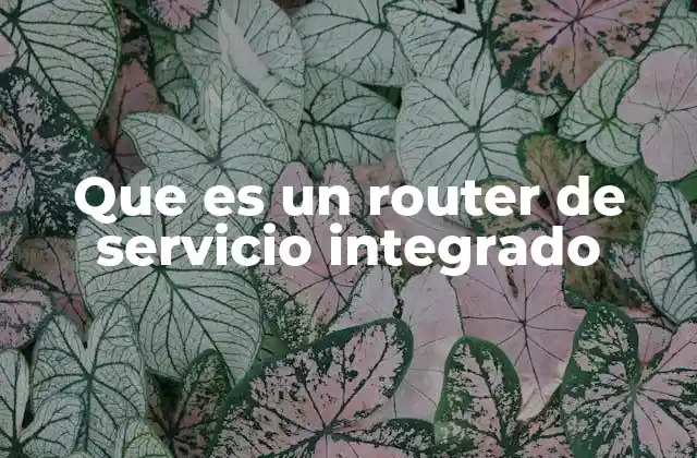 Que es un Router de Servicio Integrado
