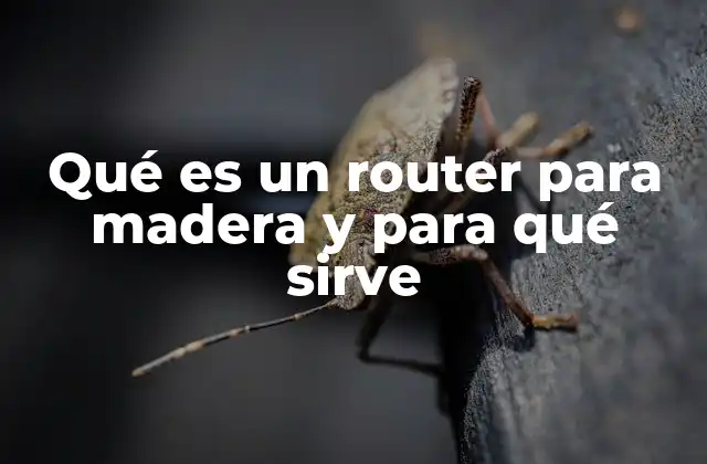 La importancia de las herramientas de corte en carpintería