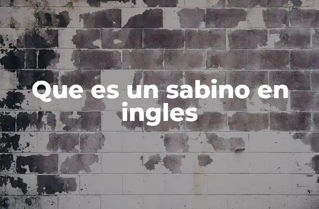 Que es un Sabino en Ingles