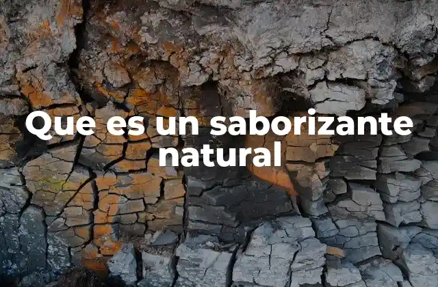Que es un Saborizante Natural