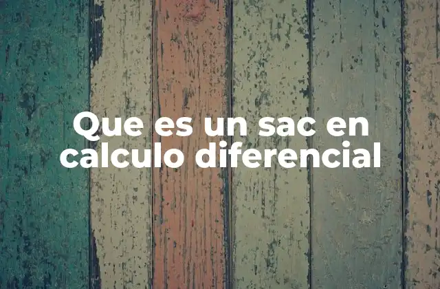 Que es un Sac en Calculo Diferencial