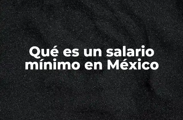Qué es un Salario Mínimo en México