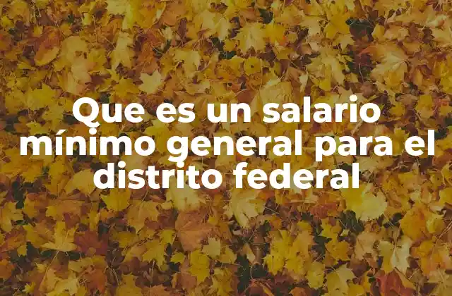 Que es un Salario Mínimo General para el Distrito Federal
