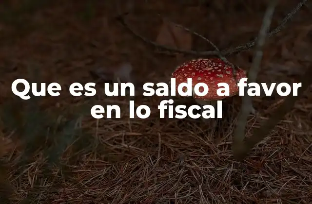 Que es un Saldo a Favor en Lo Fiscal
