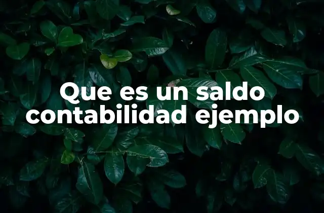 Que es un Saldo Contabilidad Ejemplo