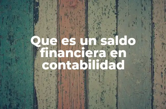 Que es un Saldo Financiera en Contabilidad
