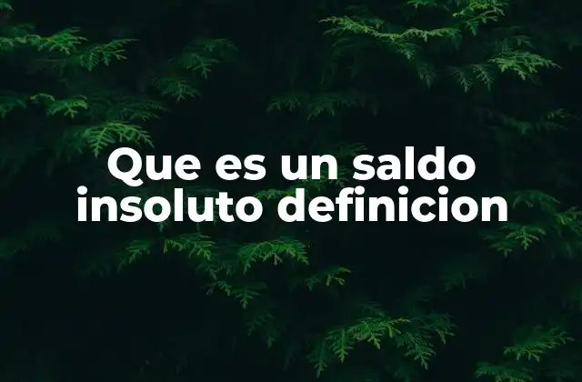 Que es un Saldo Insoluto Definicion