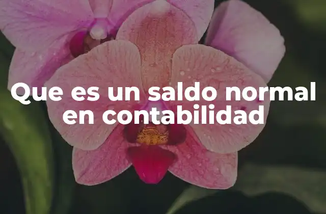 Que es un Saldo Normal en Contabilidad