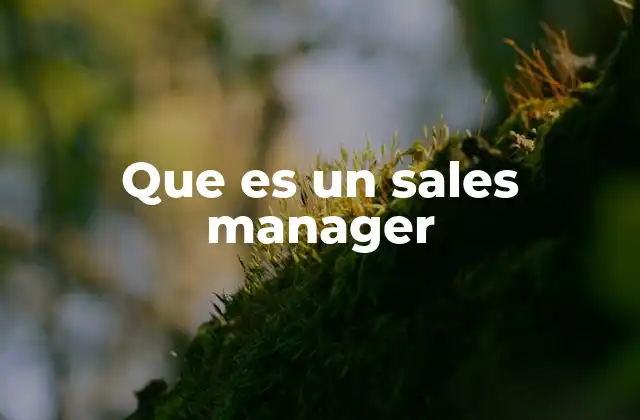 Que es un Sales Manager 2 El rol de un sales manager en el crecimiento empresarial