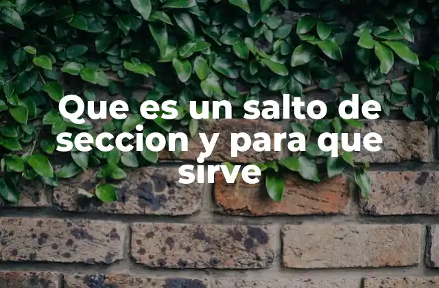 Que es un Salto de Seccion y para que Sirve