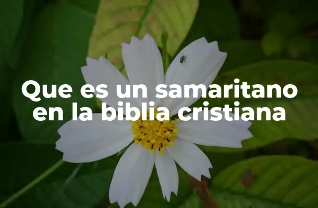 Que es un Samaritano en la Biblia Cristiana