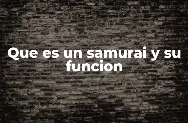 Que es un Samurai y Su Funcion