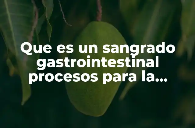 Que es un Sangrado Gastrointestinal Procesos para la Detección