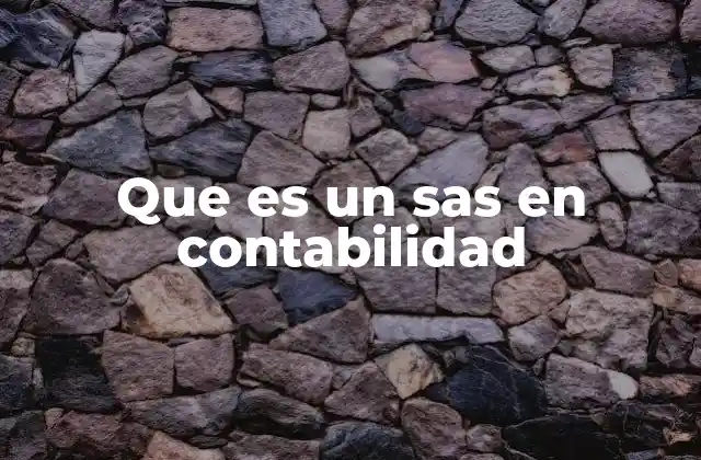 Que es un Sas en Contabilidad