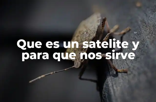 Que es un Satelite y para que Nos Sirve