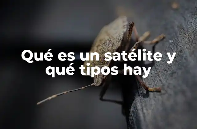 La importancia de los satélites en la vida cotidiana
