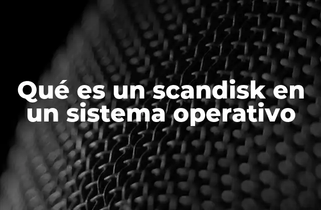 Qué es un Scandisk en un Sistema Operativo