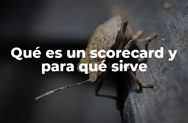 Qué es un Scorecard y para Qué Sirve
