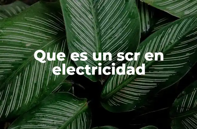 Que es un Scr en Electricidad