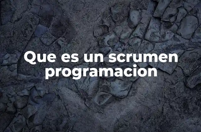 Que es un Scrumen Programacion