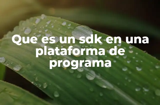 Que es un Sdk en una Plataforma de Programa