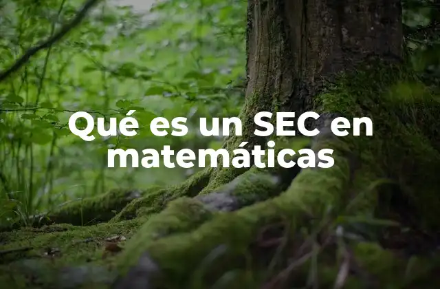 Qué es un Sec en Matemáticas