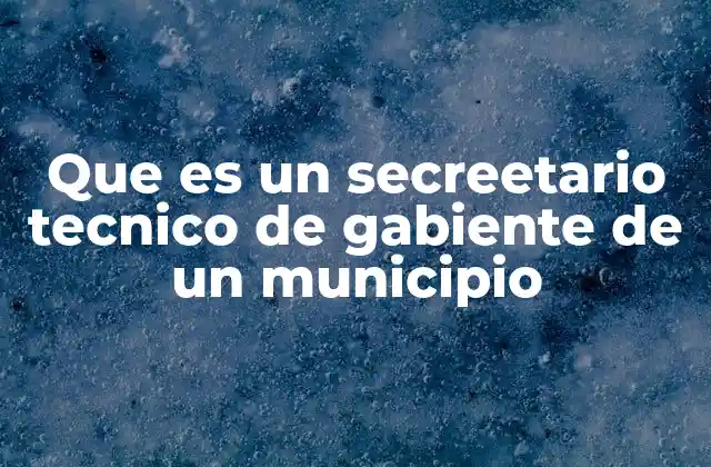 Que es un Secreetario Tecnico de Gabiente de un Municipio