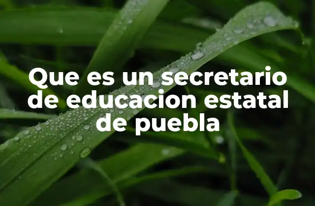 Que es un Secretario de Educacion Estatal de Puebla