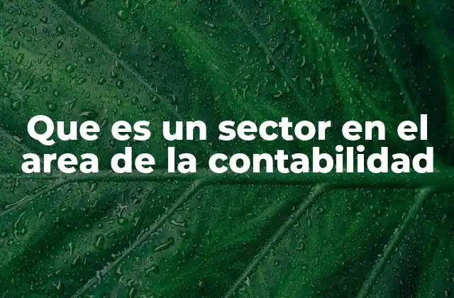 Que es un Sector en el Area de la Contabilidad