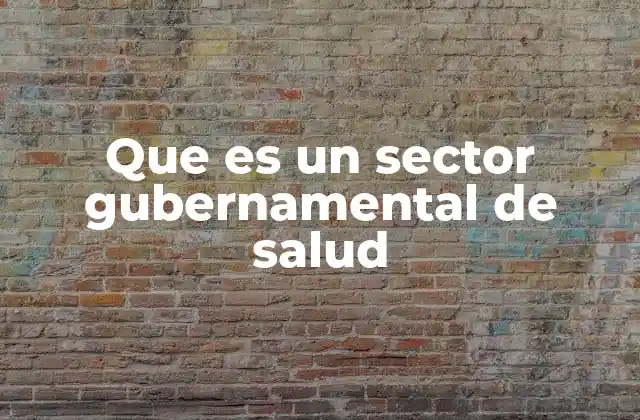 Que es un Sector Gubernamental de Salud
