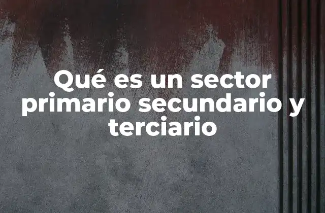 Qué es un Sector Primario Secundario y Terciario