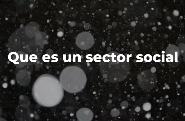 Que es un Sector Social