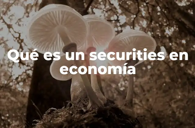 Qué es un Securities en Economía