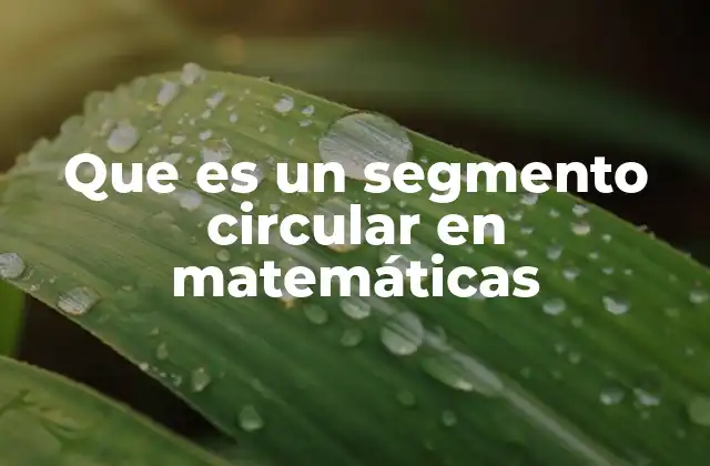 Que es un Segmento Circular en Matemáticas