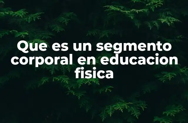 Que es un Segmento Corporal en Educacion Fisica