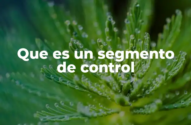 Que es un Segmento de Control