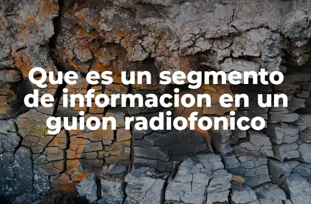 Que es un Segmento de Informacion en un Guion Radiofonico