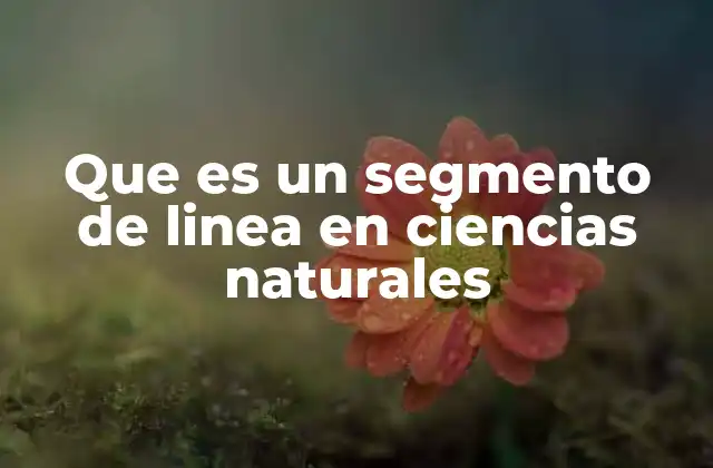 Que es un Segmento de Linea en Ciencias Naturales 2 El papel del segmento de línea en la representación espacial