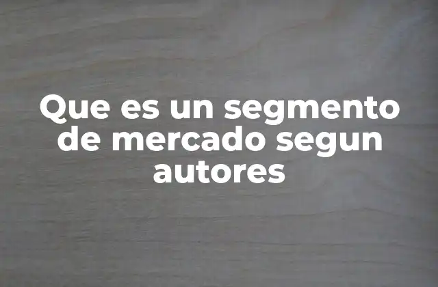 Que es un Segmento de Mercado Segun Autores