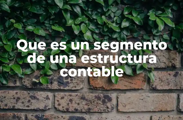 Que es un Segmento de una Estructura Contable