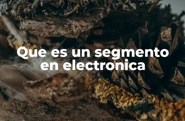 Aplicaciones y usos de los segmentos en electrónica