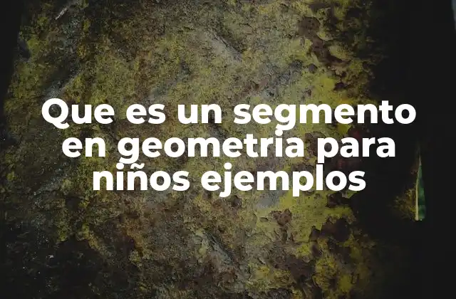 Introducción a los segmentos y su importancia en geometría